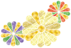 雅菊（透過PNG）