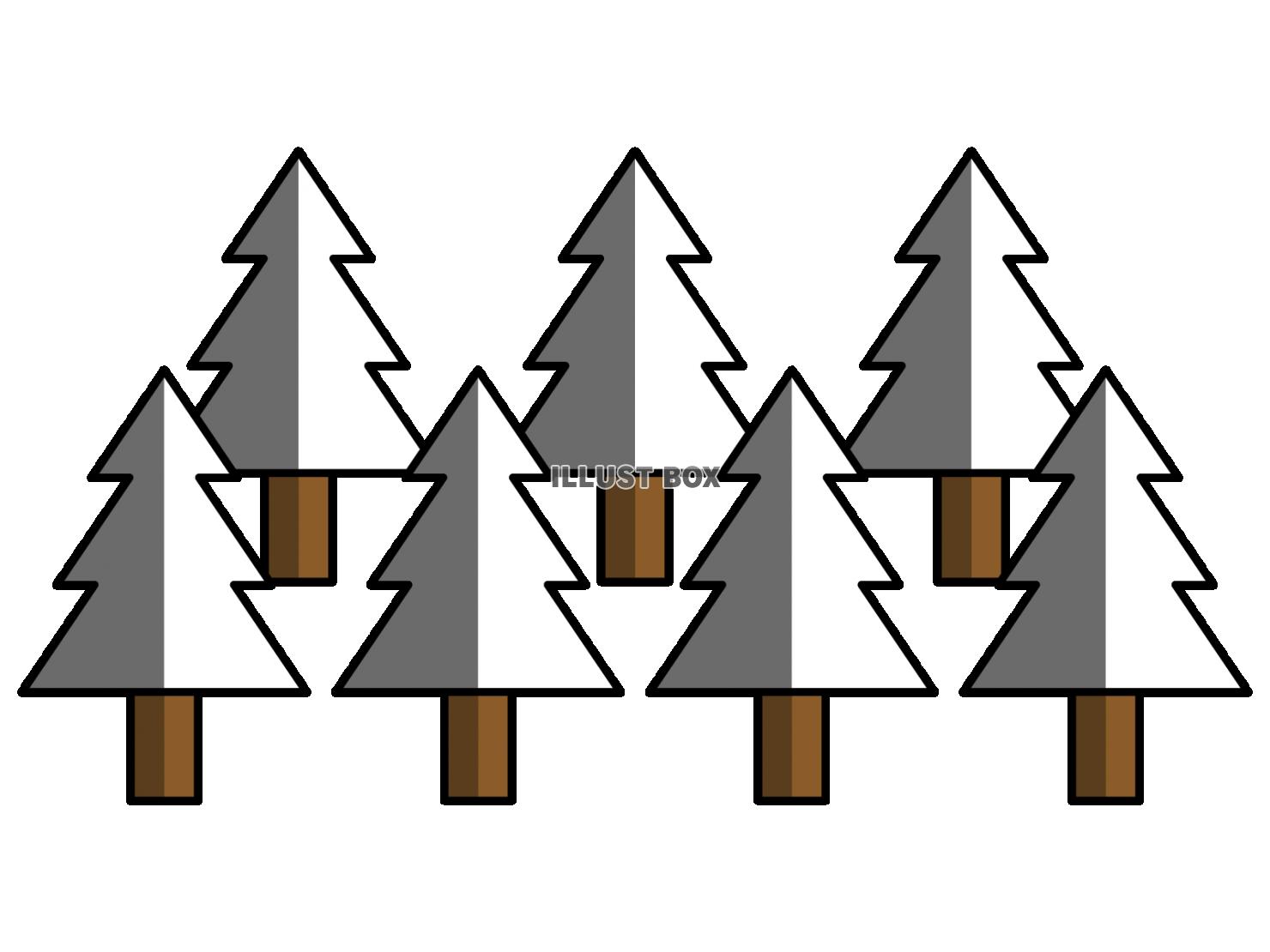 冬の杉林・針葉樹林のイラスト【透過PNG】