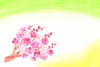 梅の花のグリーティングカード２