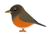 アカハラ（日本の野鳥）透過PNG