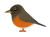 アカハラ（日本の野鳥）透過PNG