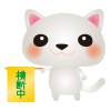 白ねこ横断中