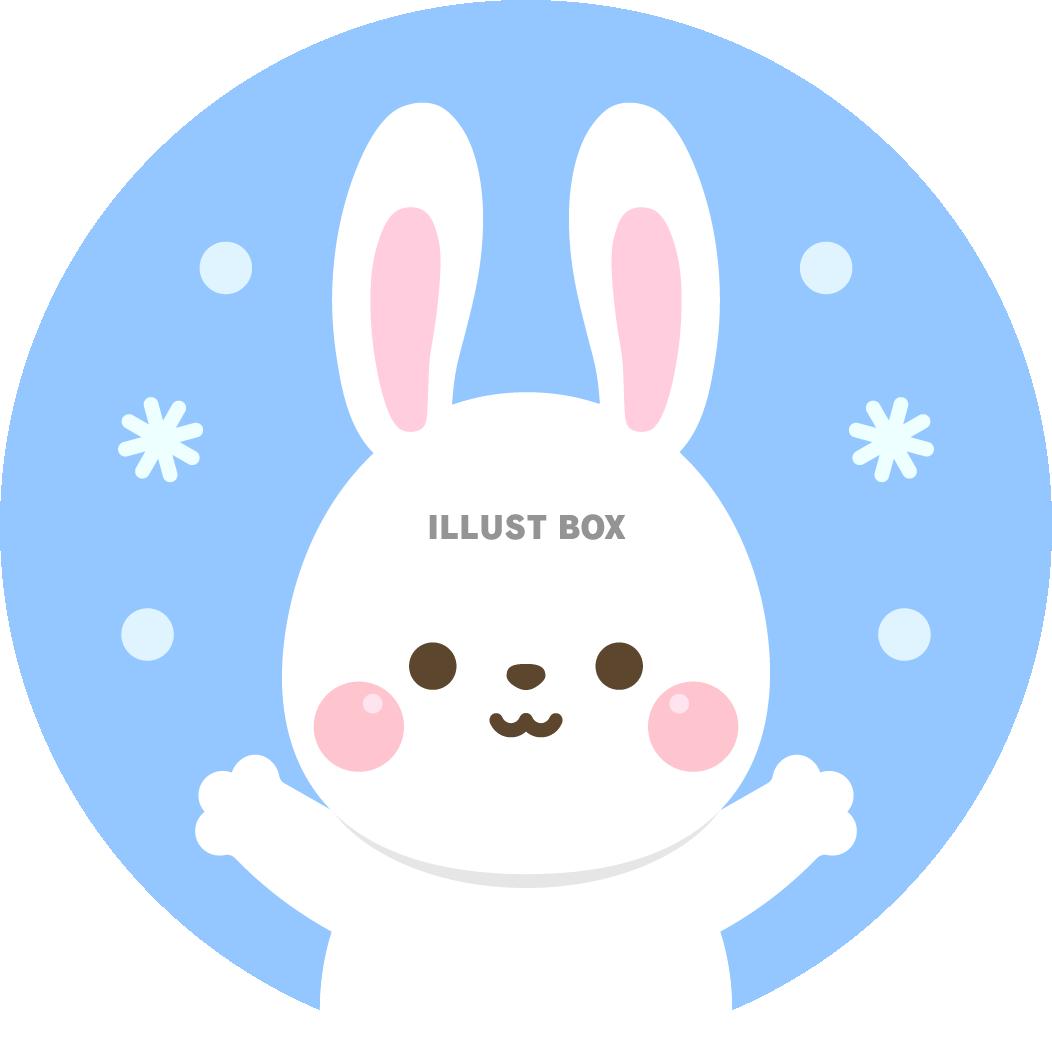 うさぎと雪