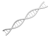 DNA（遺伝子）の2重螺旋の3DCG【透過PNG】