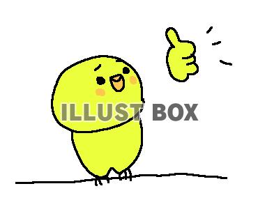 ゆるゆるインコさん９