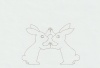 向き合う兎