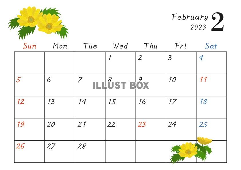 2023年2月カレンダー（フクジュソウ）