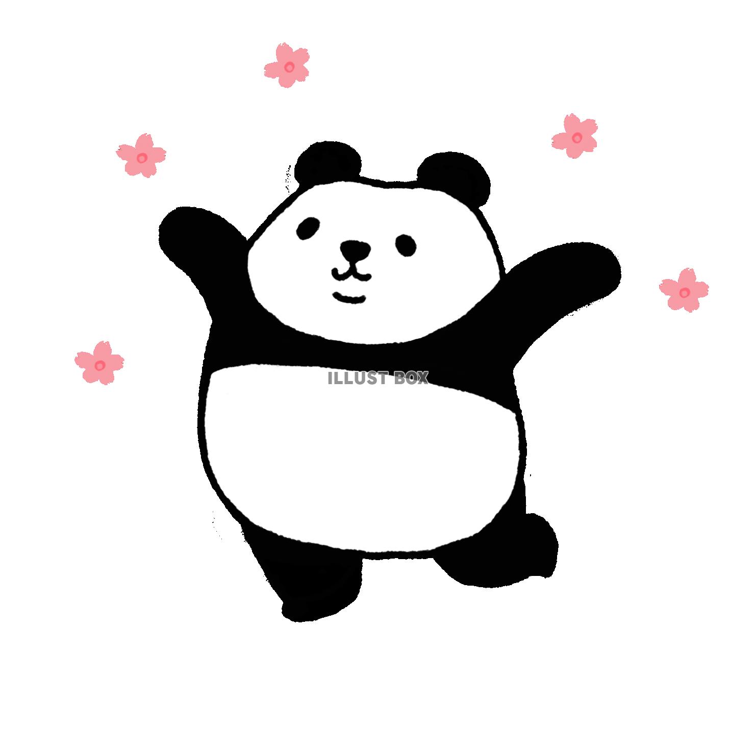 パンダシリーズ　合格！　桜2