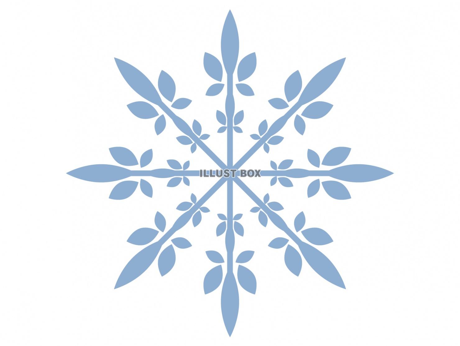 雪の結晶
