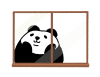 パンダシリーズ　窓から見上げるパンダ