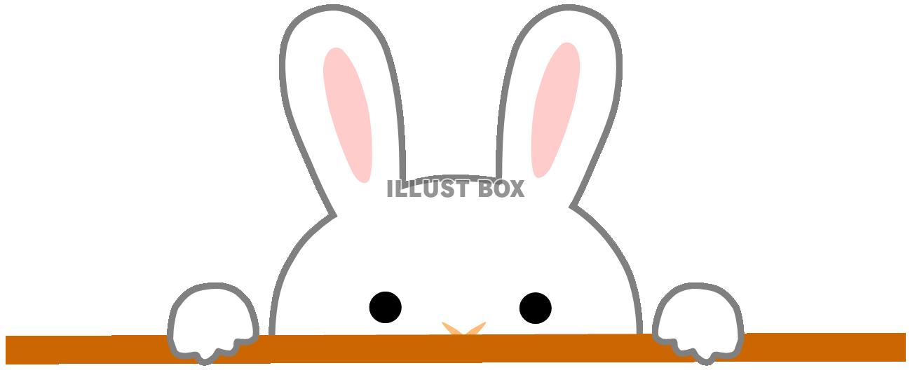 のぞくうさぎ２白（卯年年賀状素材）