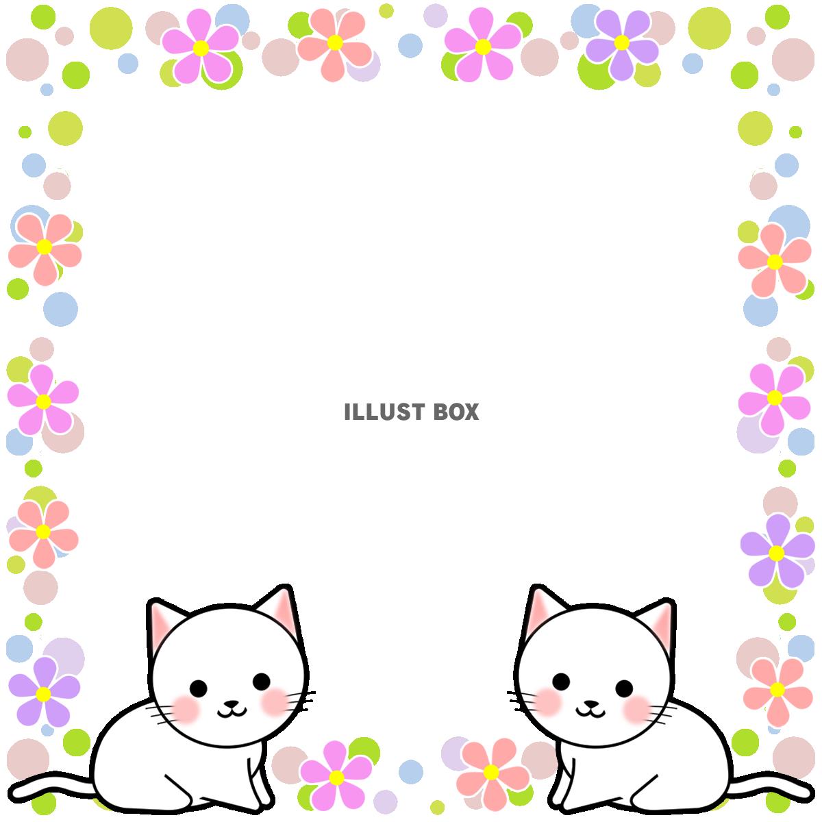 白い子猫フレームシンプル飾り枠背景素材透過png