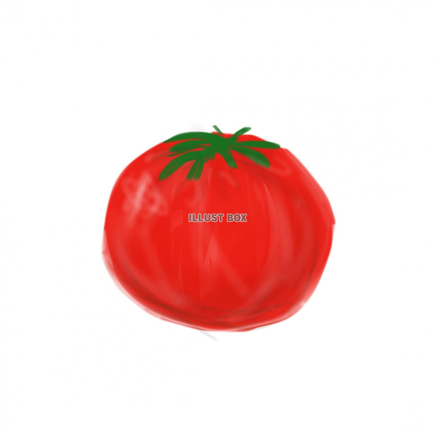 トマト イラスト無料