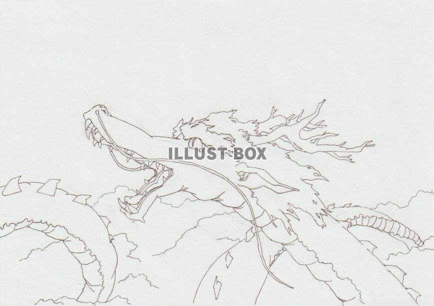 龍の線画