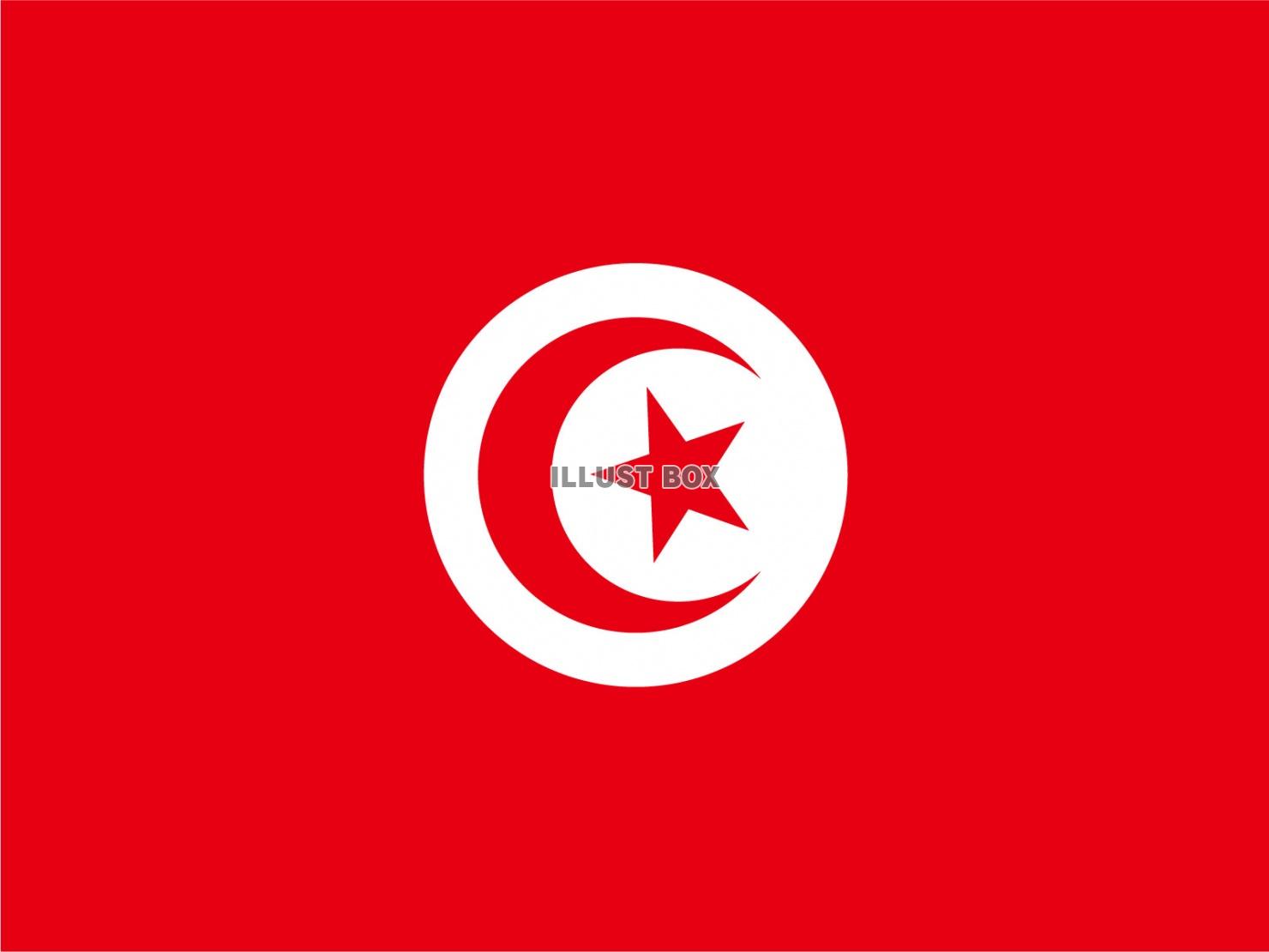 世界の国旗☆チュニジア☆