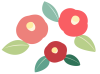 つばきの花　冬のイラスト　シンプル　透過PNG