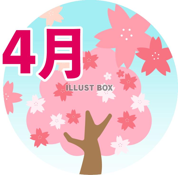 4月の丸型のワンポイントイラスト　桜