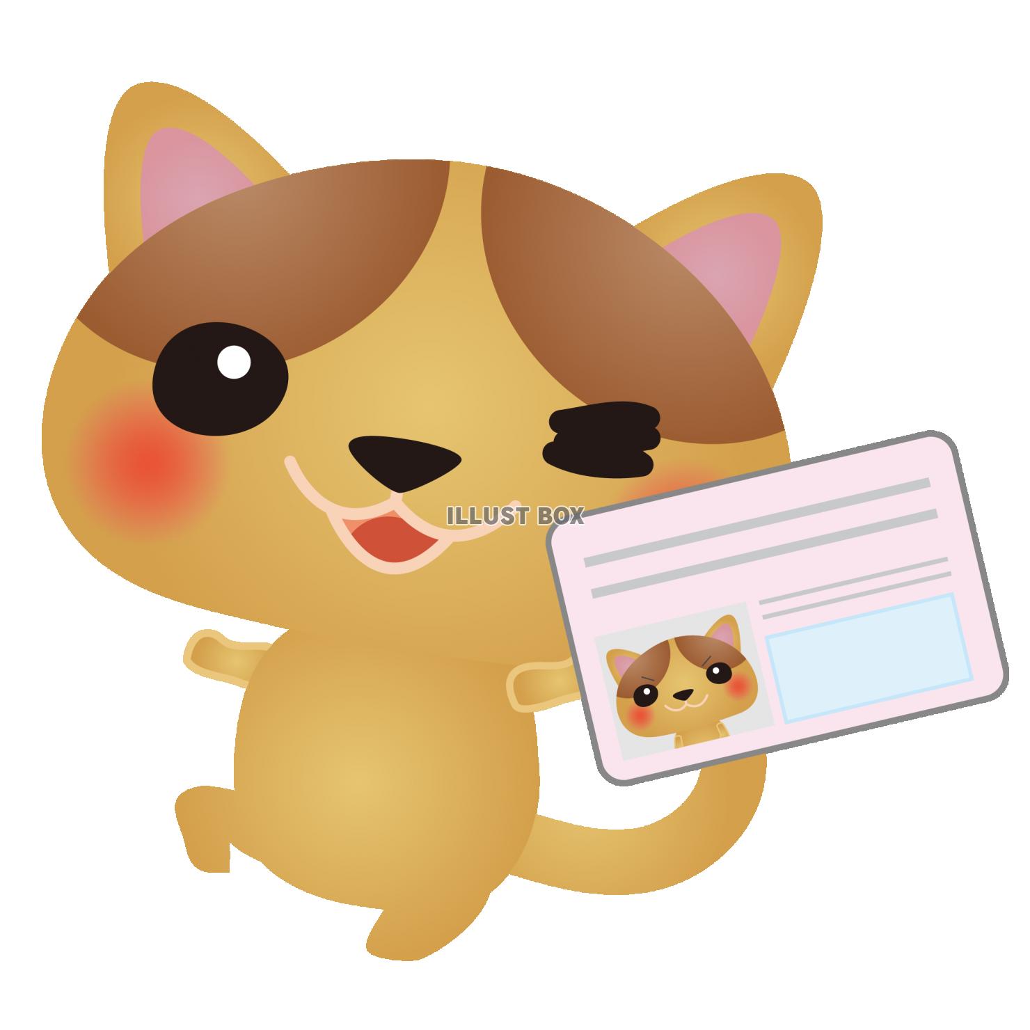 茶ねこマイナ