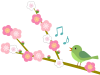 梅の花模様と鶯の壁紙画像シンプル背景素材イラスト透過png　