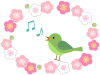 梅の花模様と鶯の壁紙画像シンプル背景素材イラスト透過png　