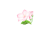 PNG素材　清楚な桜　花