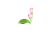 PNG 清楚な桜の蕾