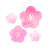 梅の花　透過png