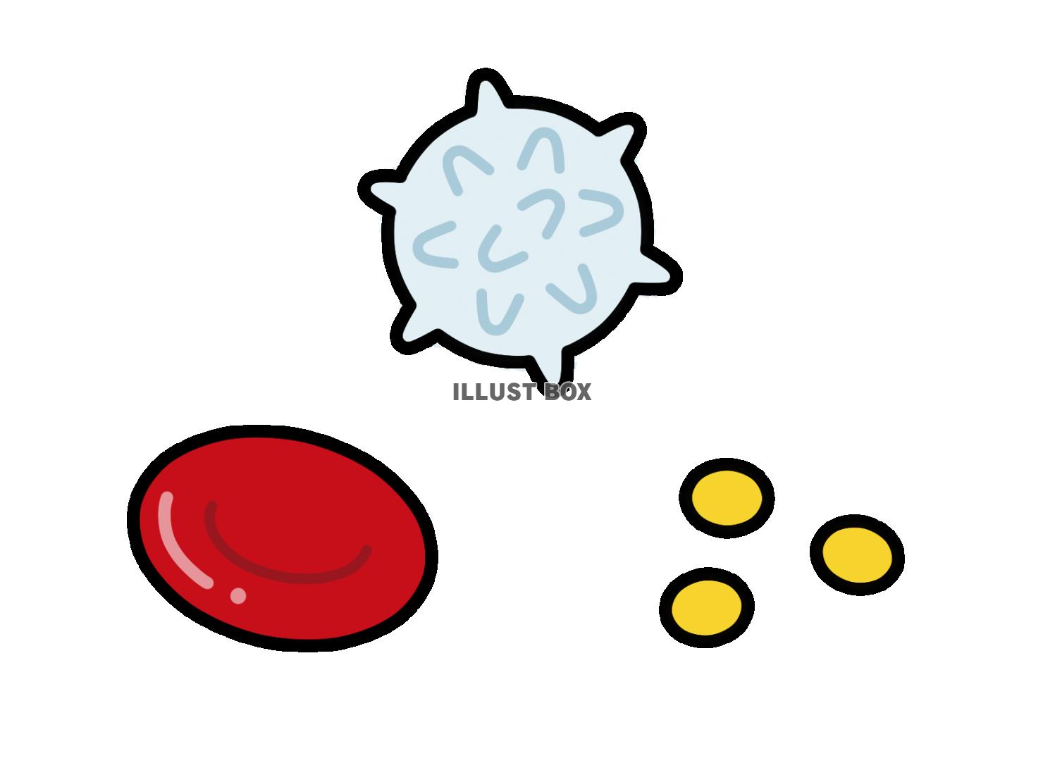 赤血球と白血球と血小板