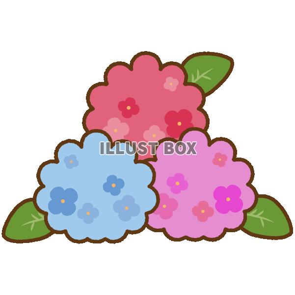 あじさい 集合(透過PNG)
