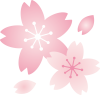 桜の花イラストグラデーション