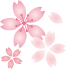 桜の花イラストグラデーション