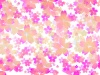 JPEG:濃淡の色合いが美しい桜の花の背景素材