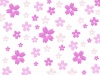 JPEG：シンプルな濃淡の桜の背景素材