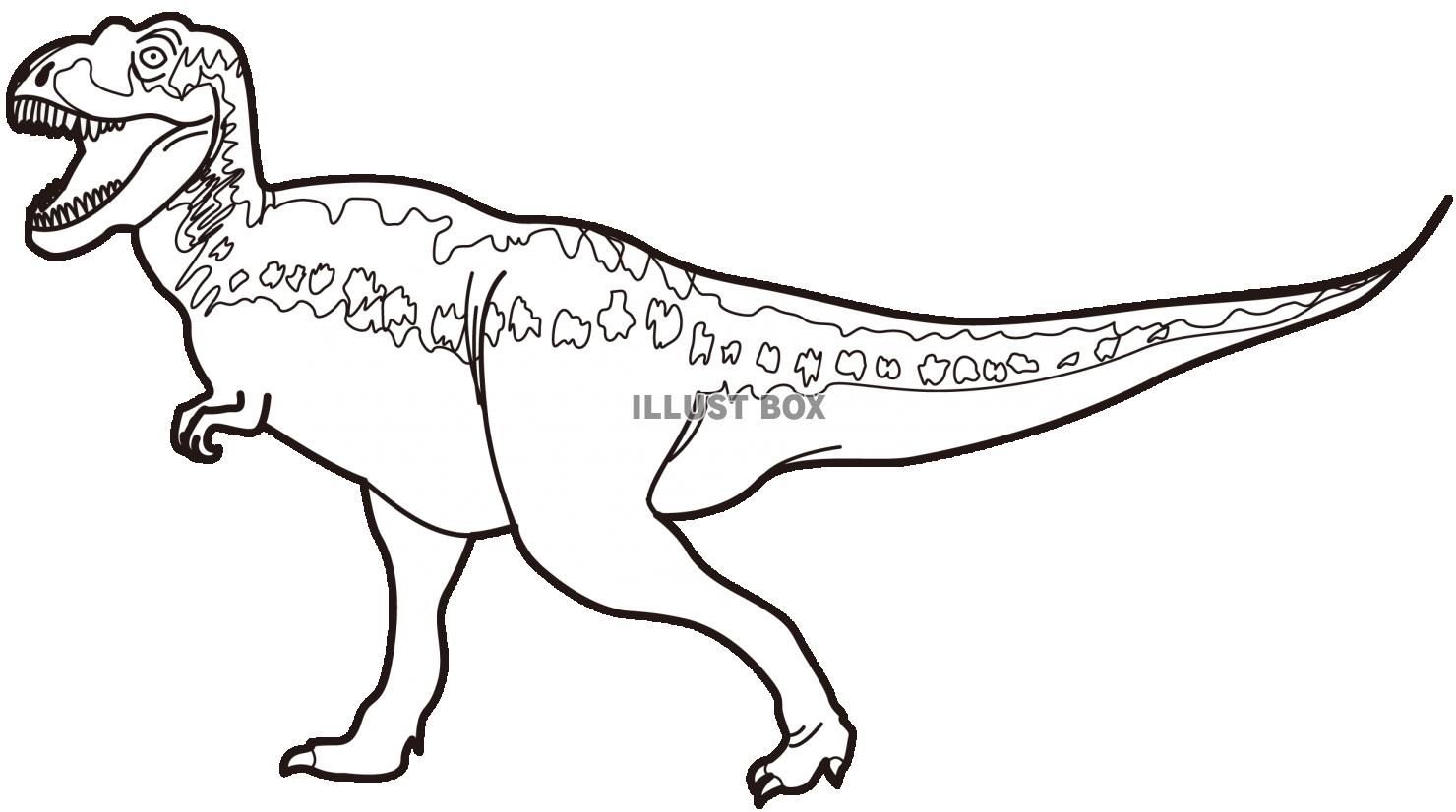 ティラノサウルス塗り絵（透過PNG）
