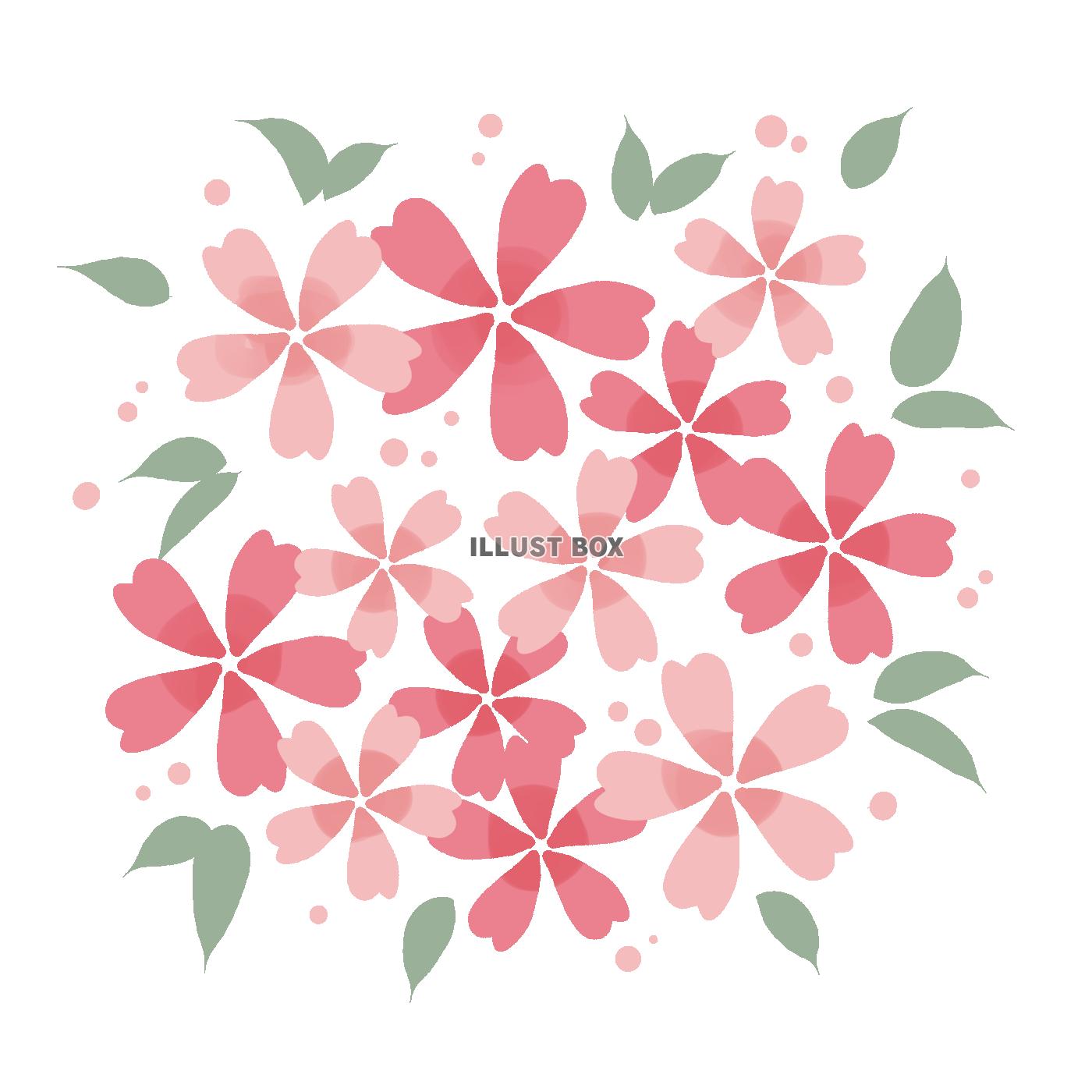 かわいい桜