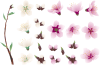 桃の花いろいろ（透過PNG）ZIPにEPS