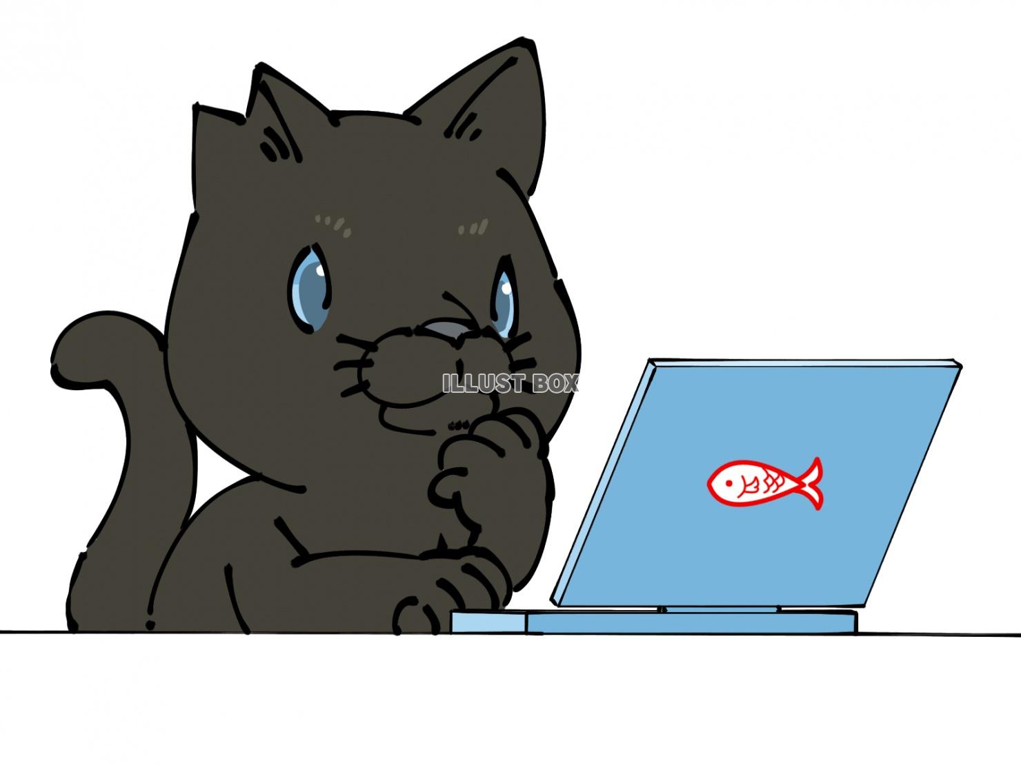 パソコンを操作する猫(黒猫)