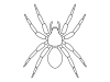 蜘蛛（クモ）の線画・ぬりえ【透過PNG】