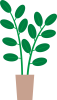 シンプルな観葉植物　ゴムの木