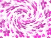 JPEG:強風に舞う桜の背景素材