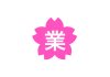 卒業　桜