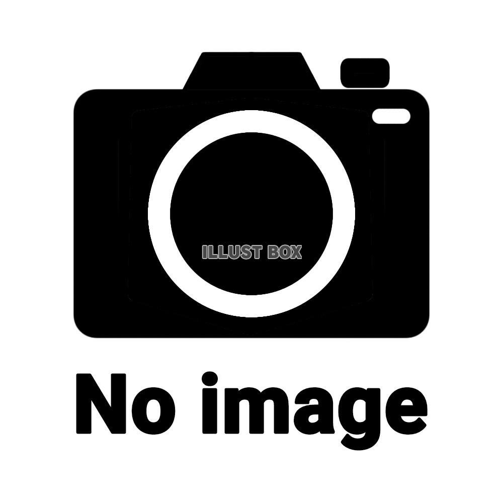 no image カメラ マーク 文字 表示