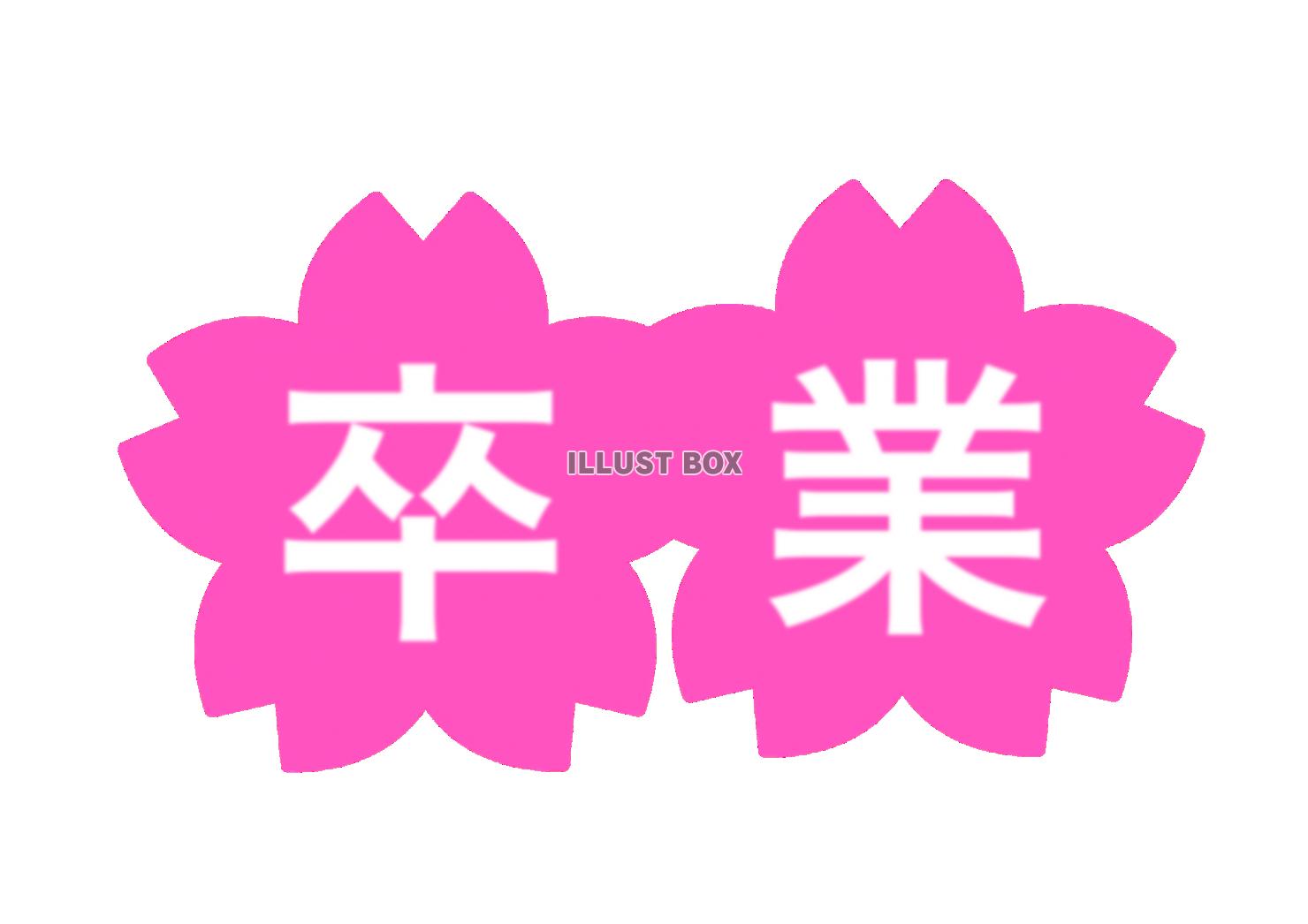 卒業　桜