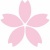 さくら　花びら　花　ピンク