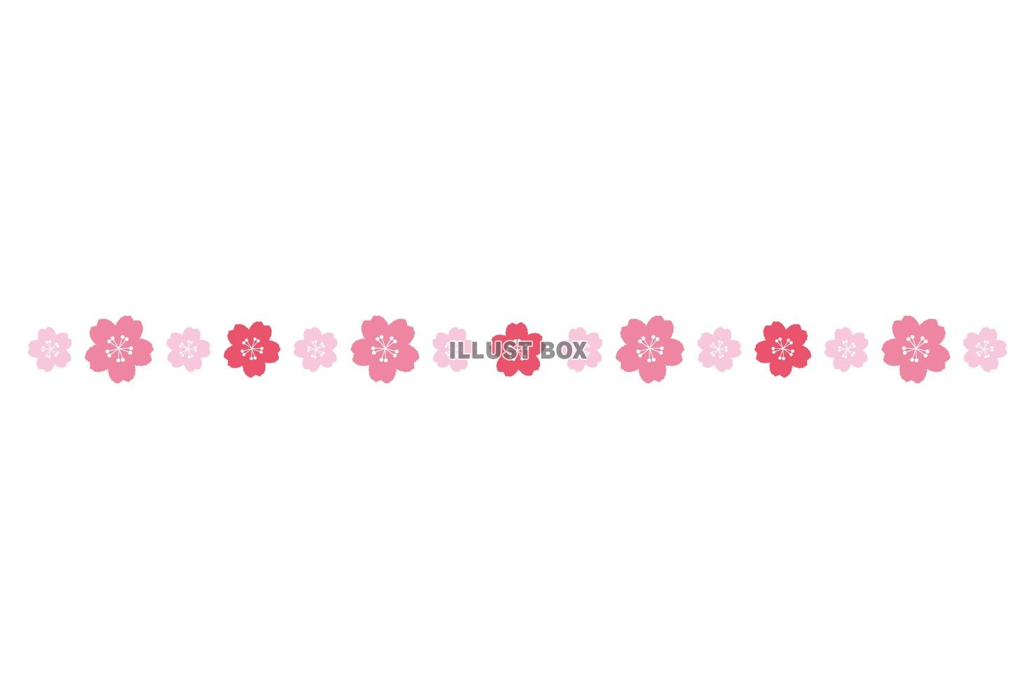 シンプルでかわいい桜の飾り罫/ピンク