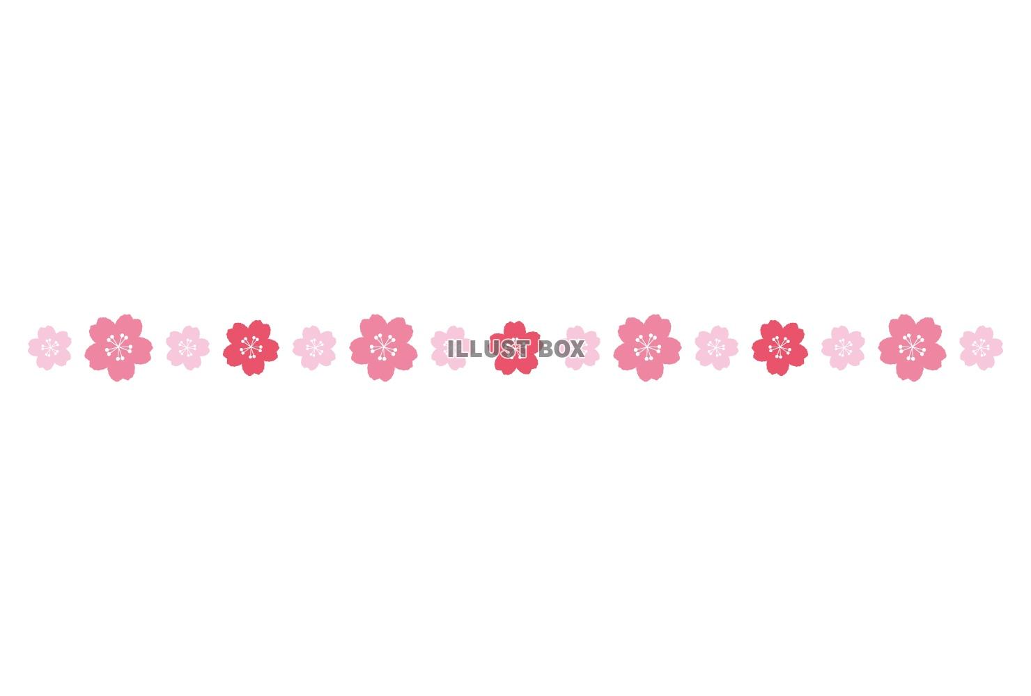 シンプルでかわいい桜の飾り罫/ピンク