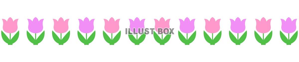 チューリップ花模様ライン素材シンプル飾り罫線イラスト　