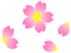 桜の花模様壁紙画像シンプル背景素材イラスト透過png