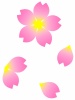 桜の花模様壁紙画像シンプル背景素材イラスト