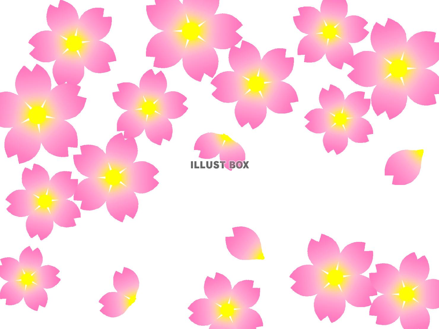 桜の花模様壁紙画像シンプル背景素材イラスト透過png　